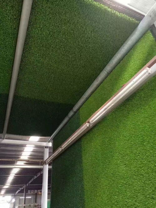 假绿草皮什么价格