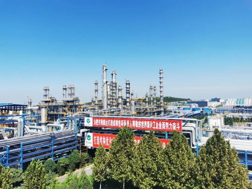 齐翔腾达新能源板块再下一城 携手中科院青岛所切入氢能开发新赛道