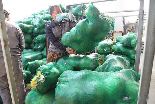 青岛西海岸新区供销社携手新材料科技助力湖北农产品破解滞销困局