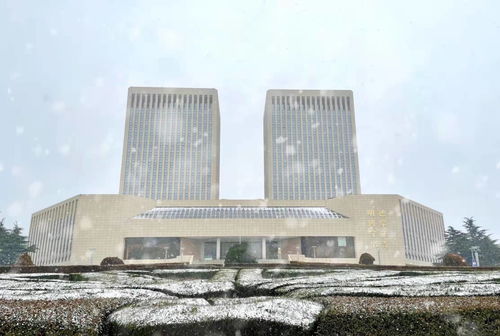 巍巍学府，人杰地灵——青岛大学的新材料专业前沿探索